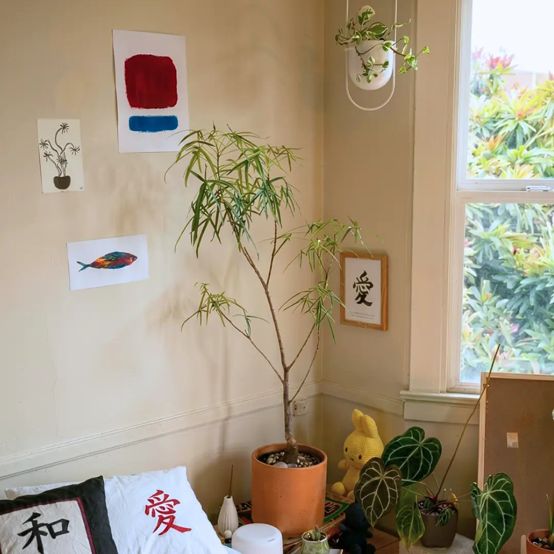 Love (Framed) Kanji Art